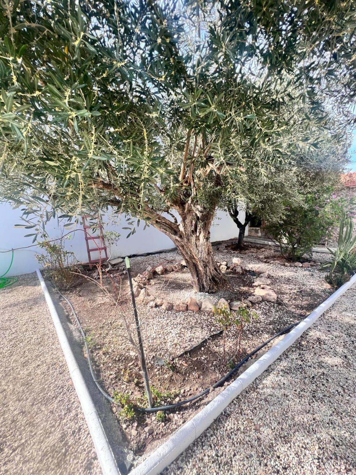 Casa Mayra Los Caparroses Dış mekan fotoğraf